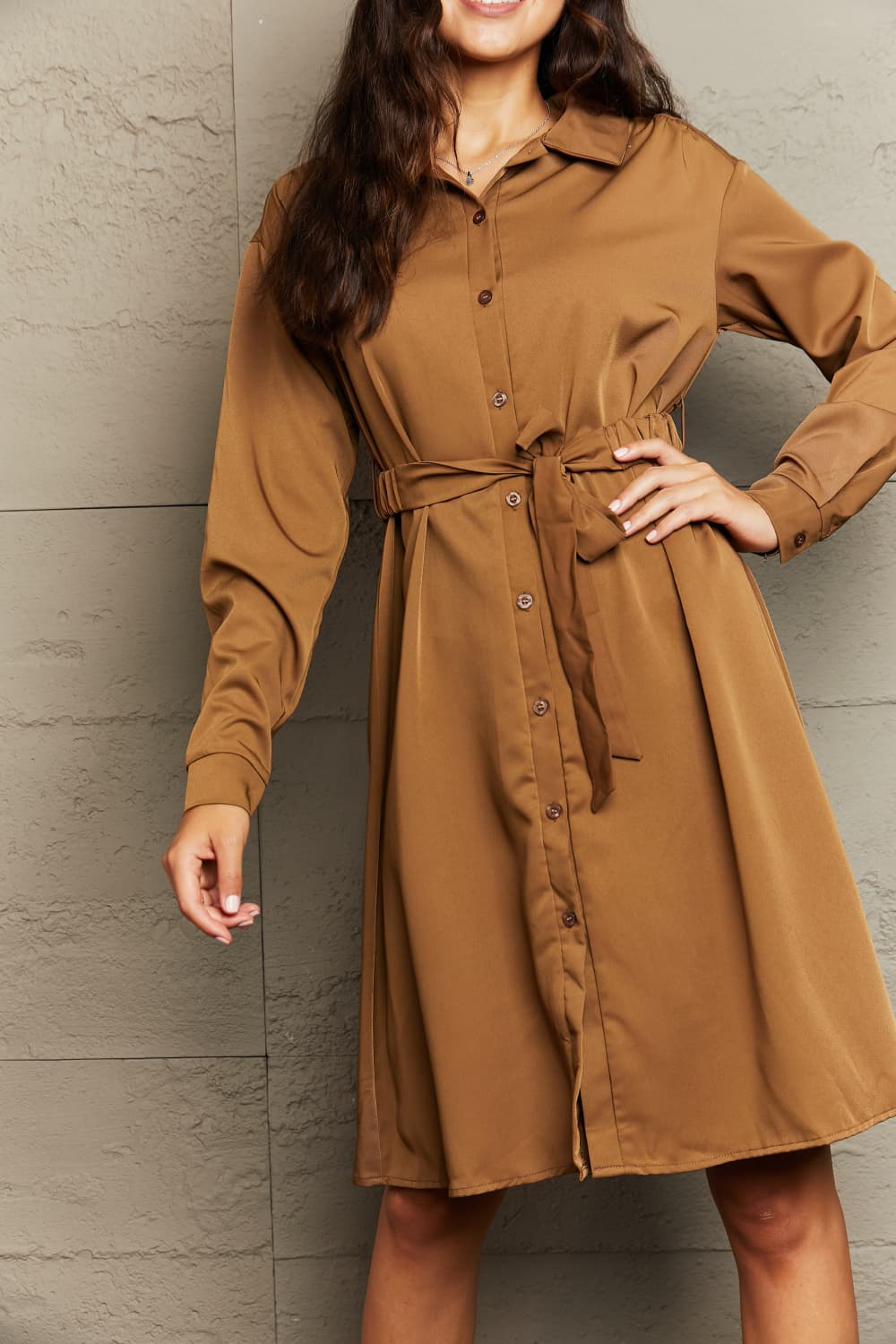 Honey Collared Neck Button Down Dress