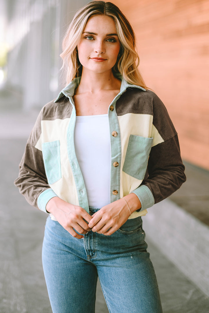 Women's Collared Neck Color Block Jacket